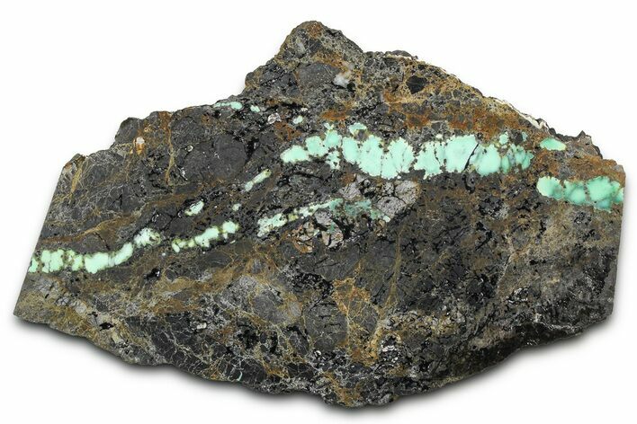 Polished Turquoise in Matrix Slab - Nevada #371565